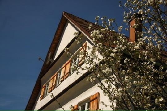 Appartamento Haus Oyben Bad Hindelang Esterno foto